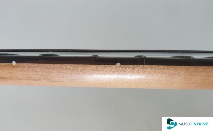 Squier Sonic Strat Neck