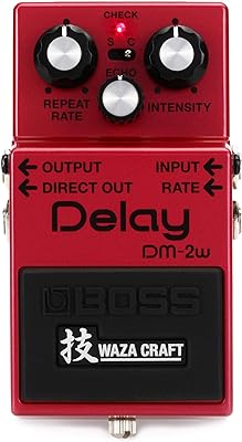 Boss DM-2W Waza Craft Delay