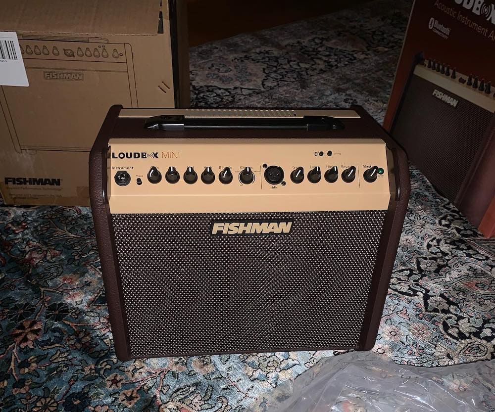 Fishman Loudbox Mini in Action