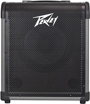 Peavey MAX 100
