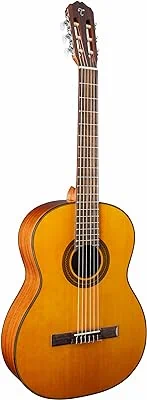 Takamine GC1 NAT