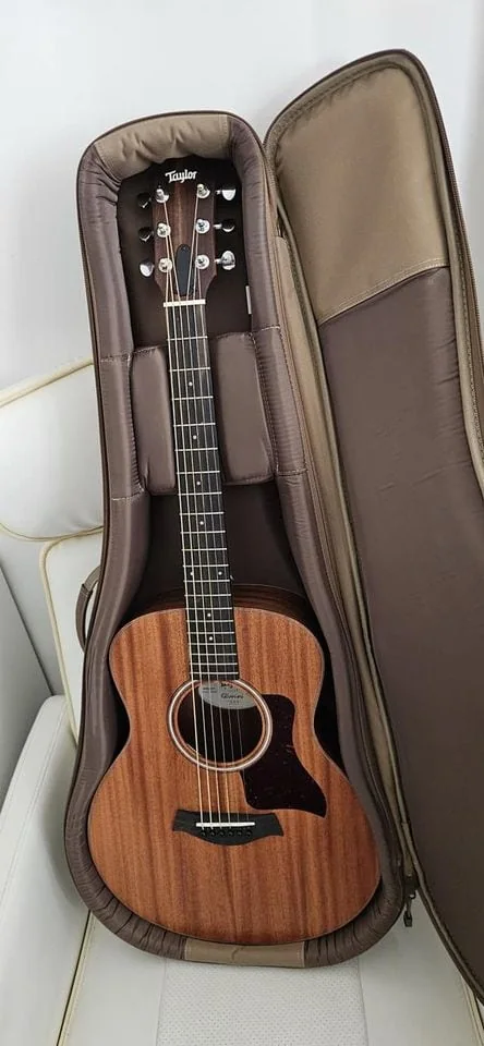 Taylor GS Mini