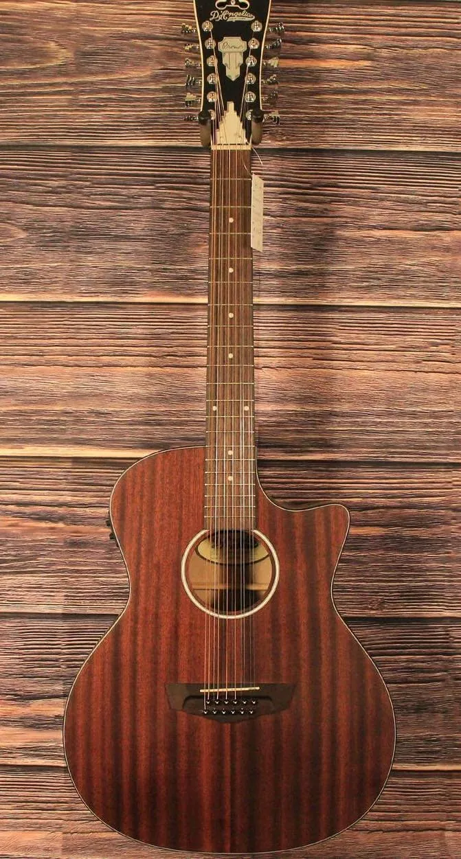 D'Angelico Premier Fulton LS 12