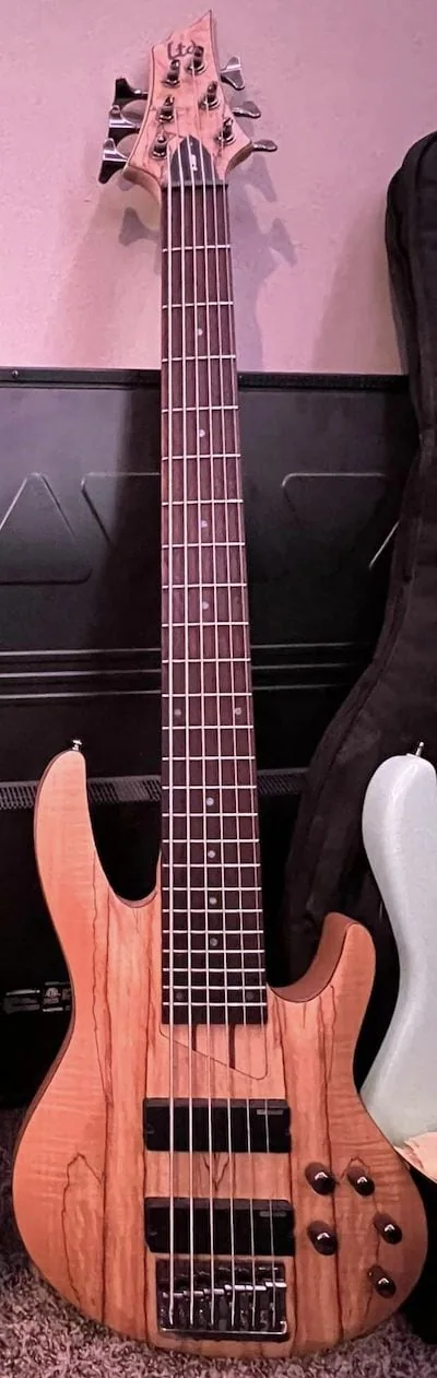 ESP LTD B-206SM 6-string Bass