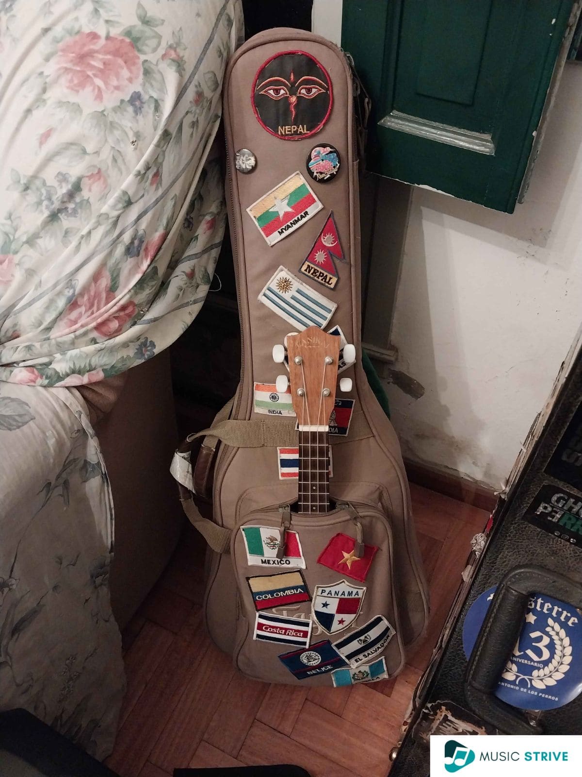 Baby Taylor Gig Bag