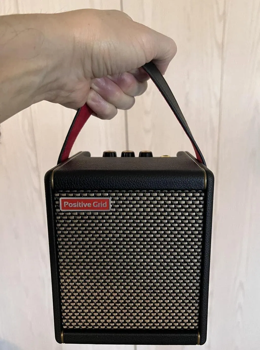 Positive Grid Spark Mini