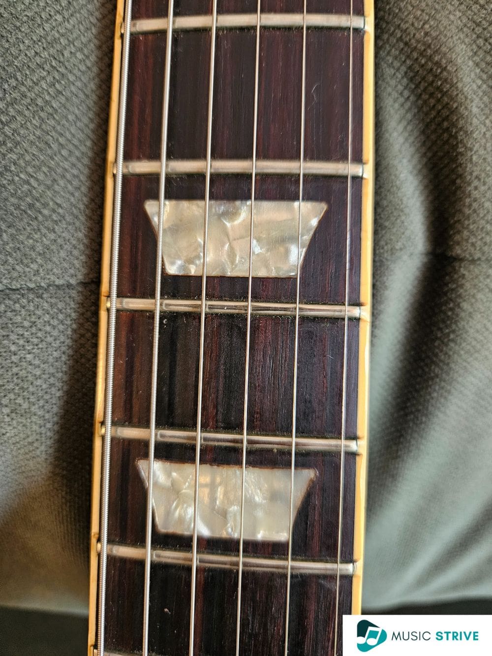 Gibson Les Paul Standard Fretboard - Close Up