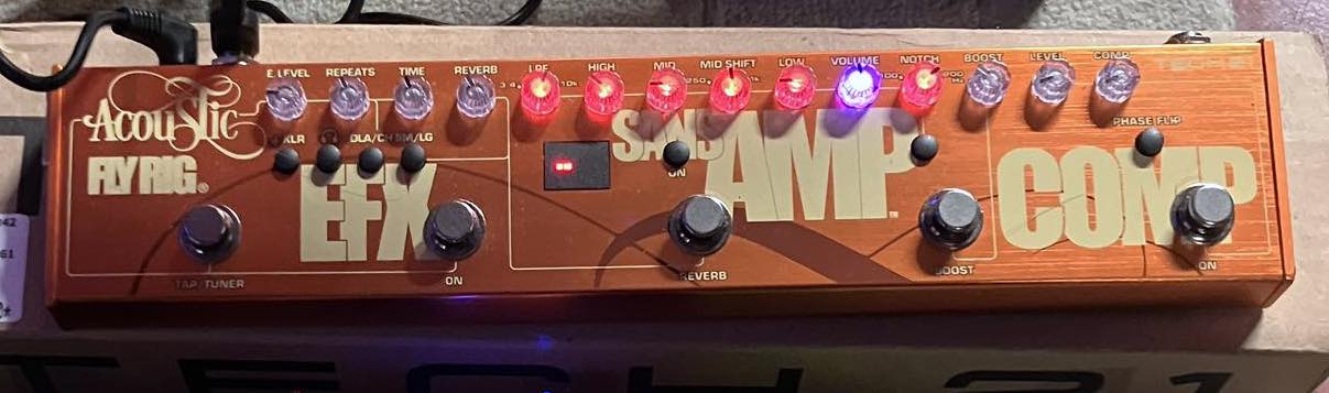 Tech 21 Acoustic Fly Rig